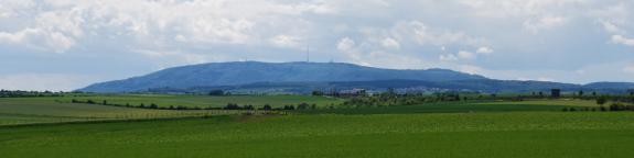 Blick auf den Donnersberg